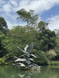 Lush Tropical Paradise - Singapore Botanic Gardens