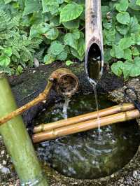 Tokugawa Garden: A Tranquil Oasis in Nagoya