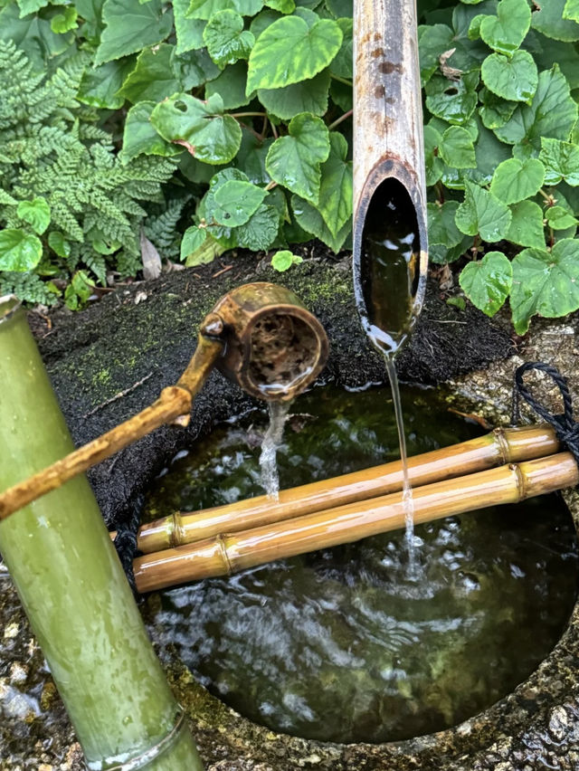 Tokugawa Garden: A Tranquil Oasis in Nagoya