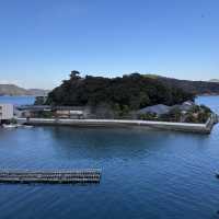 日本の老舗ジュエリーブランド「ミキモト」の美しい真珠島🏝💎