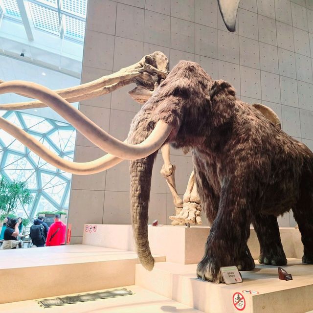 Shanghai Natural History Museum
