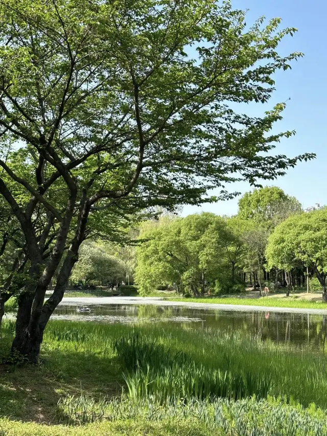เพลิดเพลินกับธรรมชาติและเมือง