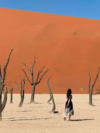 비현실적 엽서 풍경🏜️ 나미비아 데드블레이