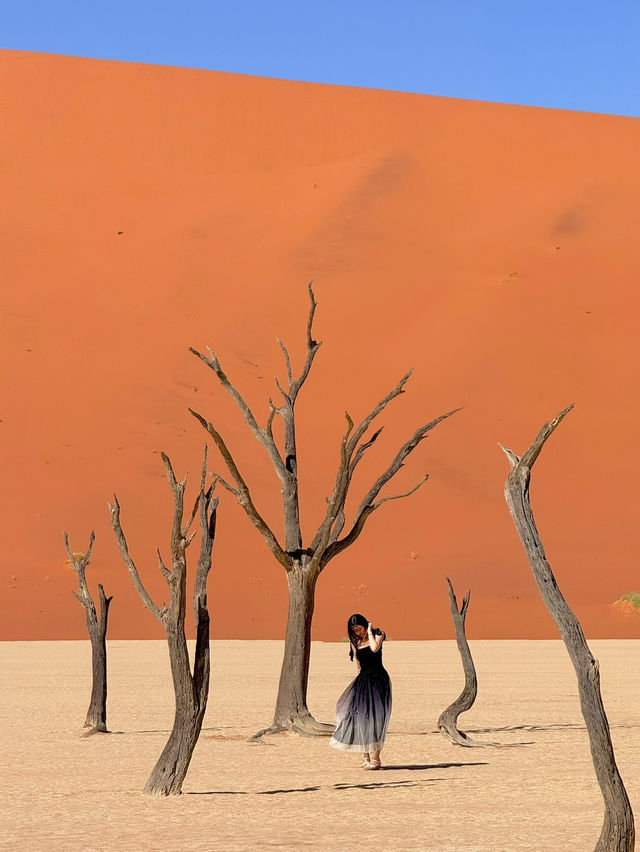 비현실적 엽서 풍경🏜️ 나미비아 데드블레이