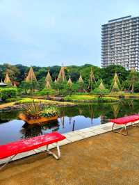 如果你熱愛日式庭園造景，相信我白鳥庭園🎋你會喜歡👍👍👍