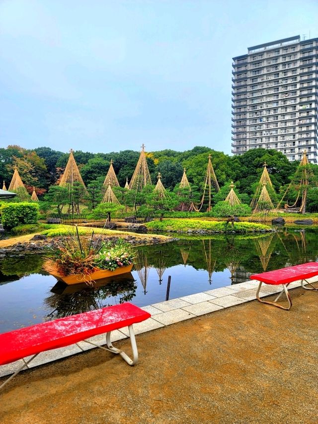 如果你熱愛日式庭園造景，相信我白鳥庭園🎋你會喜歡👍👍👍