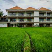 Cultural Haven at Paon Desa Ubud