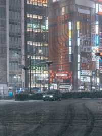 【新宿】雪の夜。カメラマンの視点で切り取る、幻想的な瞬間❄📷