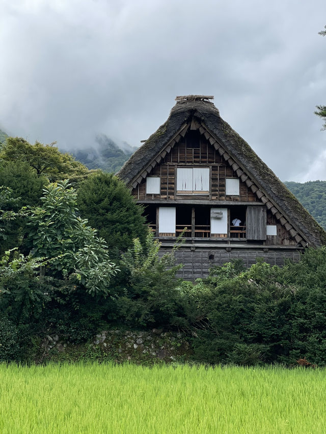 🏔飛騨高山　白川郷🏔´-