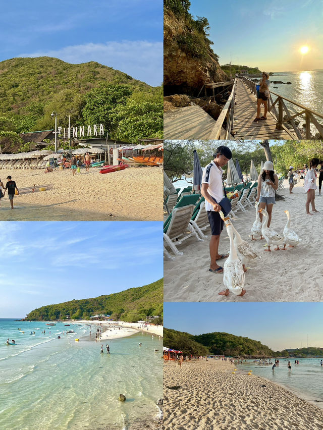 มัดรวมที่เที่ยว เกาะล้าน พัทยา
