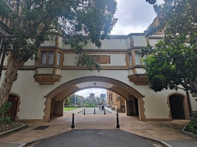 #雪梨大學The University of Sydney