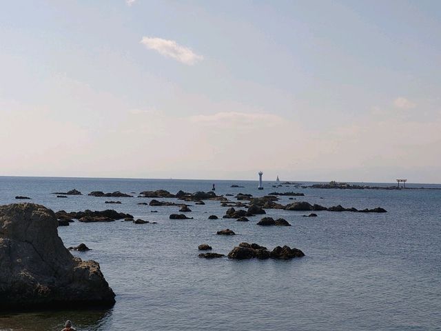 神奈川県の三浦トレイル