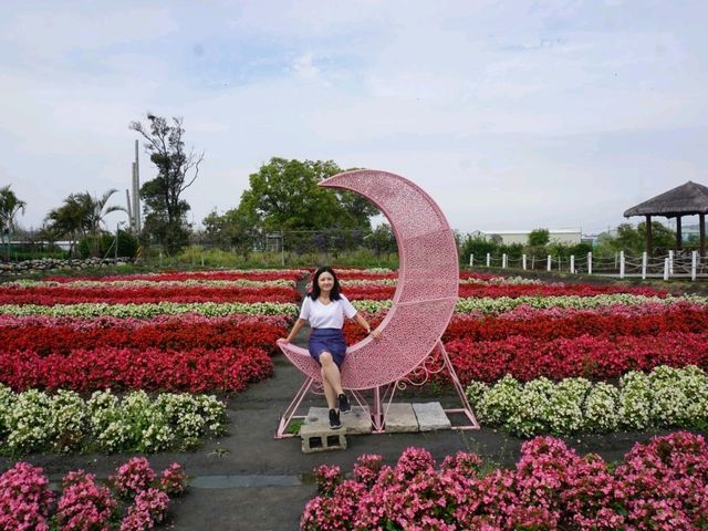 台中中社花海