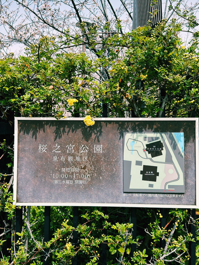 大阪水岸藝術之旅｜舊櫻宮公會堂×櫻之宮公園🌸🏛️
