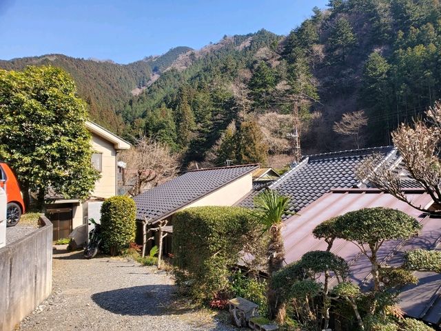 [🇯🇵奥多摩] 奥多摩の街の魅力と自然の静けさ