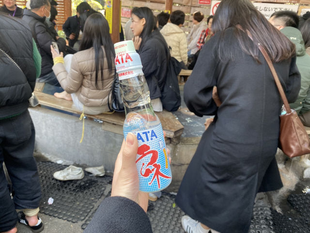 벳푸 가마도지옥♨️