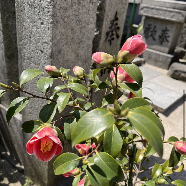 櫛田神社（Kushida Shrine）