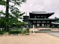 法隆寺，突然讓我變成深厚文化素養