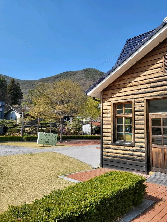 조용하게 벚꽃산책하기좋은 청도 신거역 폐역
