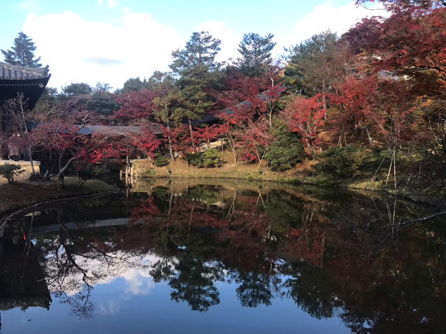 【高台寺の紅葉🍁】