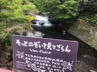 黒川温泉で癒しのひとときを楽しもう♨️