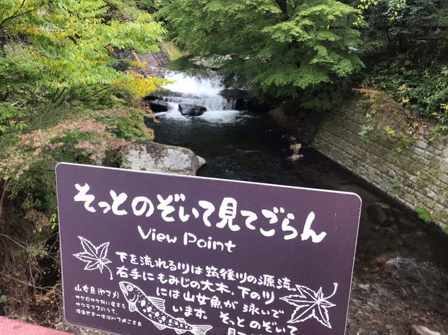 黒川温泉で癒しのひとときを楽しもう♨️