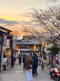 京都櫻花🌸一生必來一次清水寺看櫻花
