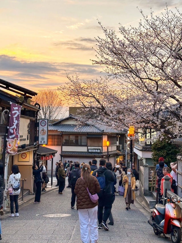 京都櫻花🌸一生必來一次清水寺看櫻花