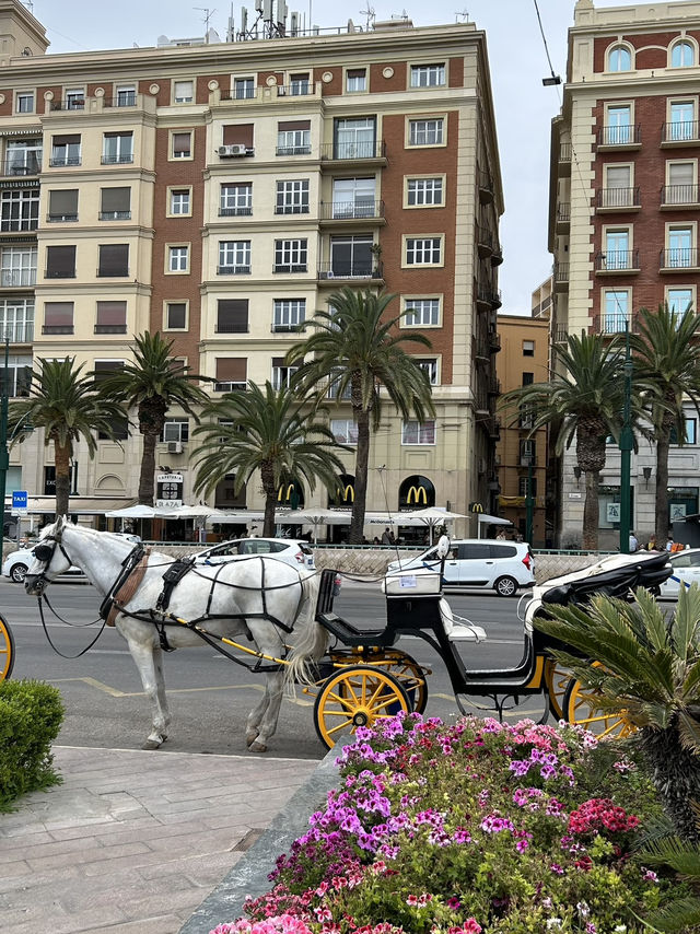 🇪🇸 Blooming Park in Malaga