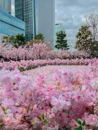 【名古屋】まだまだ間に合う！大名古屋ビルの桜イベント🌸