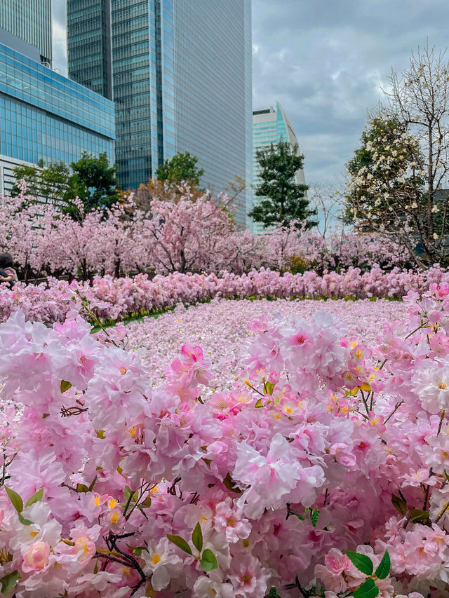 【名古屋】まだまだ間に合う！大名古屋ビルの桜イベント🌸