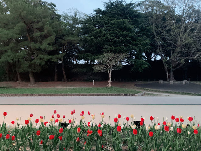 후쿠오카의 숨겨진 쉼터, 오호리 공원