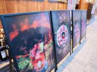 首爾延南洞｜連韓國人都瘋排的韓牛名店「花雪화설」紅酒搭燒肉，讓你吃得有質感又滿足🍷