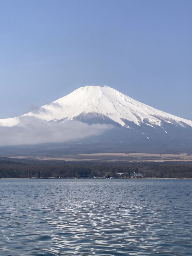 Early Spring of Mt. Fuji 