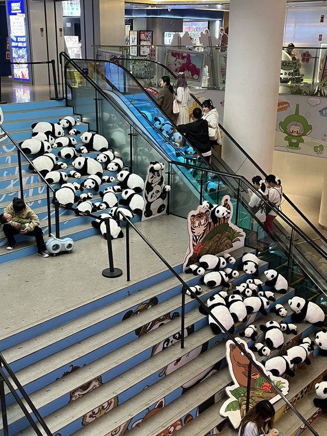 🛍️ SKY SQUARE – 판다 포토존 발견!🐼
