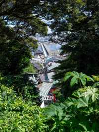 のんびり巡る、江ノ島さんぽ🌴🦀