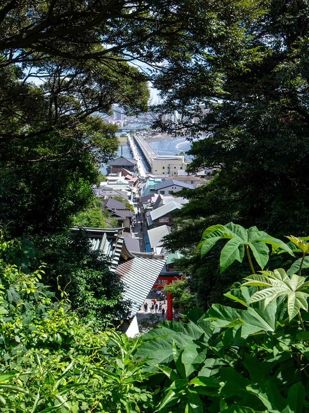 のんびり巡る、江ノ島さんぽ🌴🦀