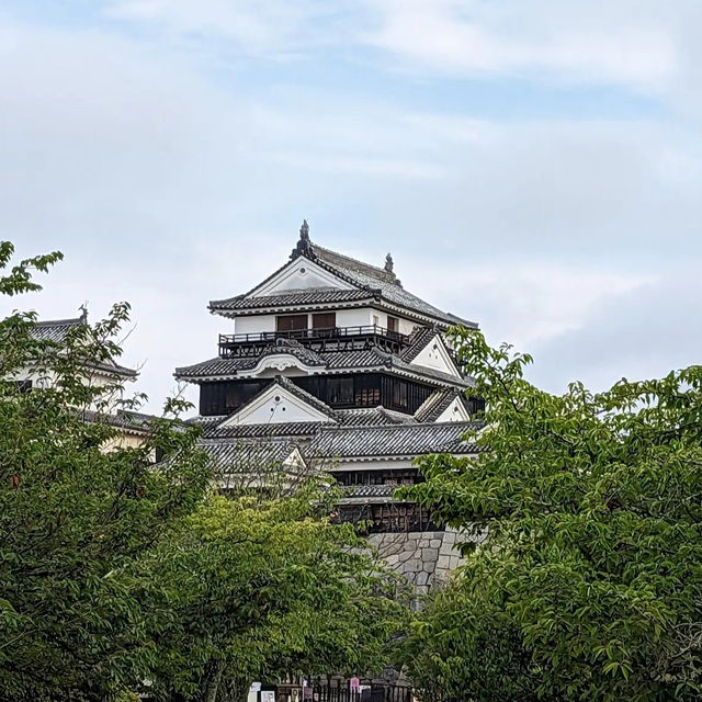 【愛媛】🇯🇵 松山城