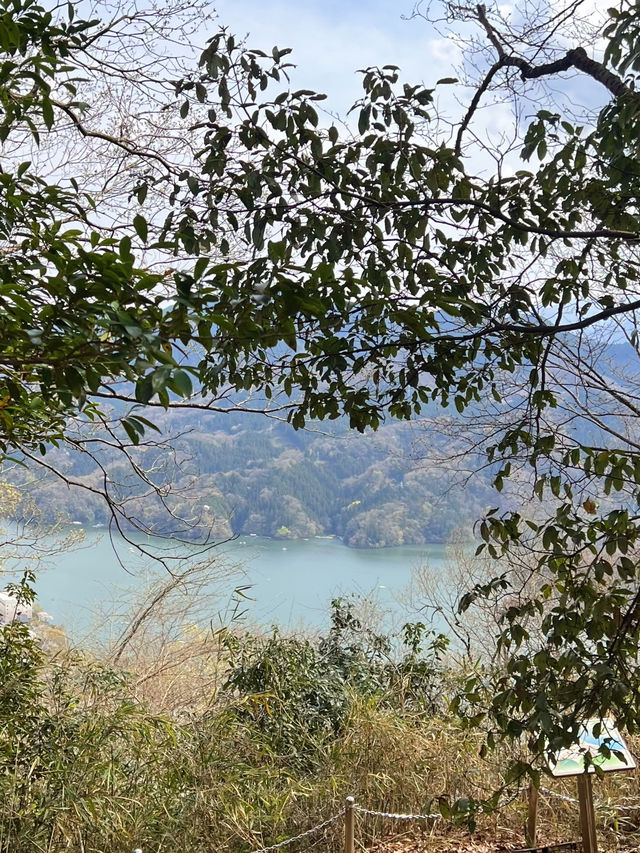 【陣馬山】日帰り登山にオススメな陣馬山⛰️