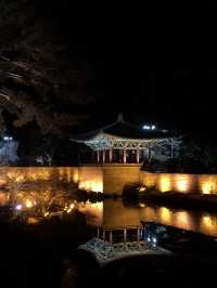 ⛩️고요함부터 힙함까지, 경주 하루 코스 추천
