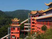 A Moment of Stillness at Guanyin Temple