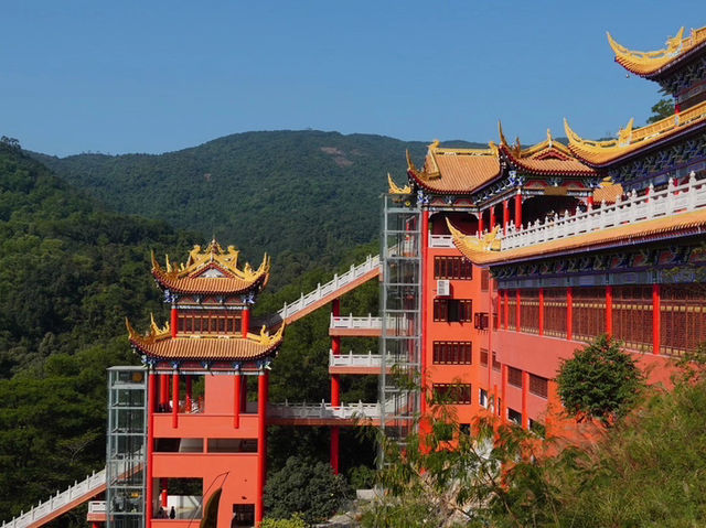 A Moment of Stillness at Guanyin Temple