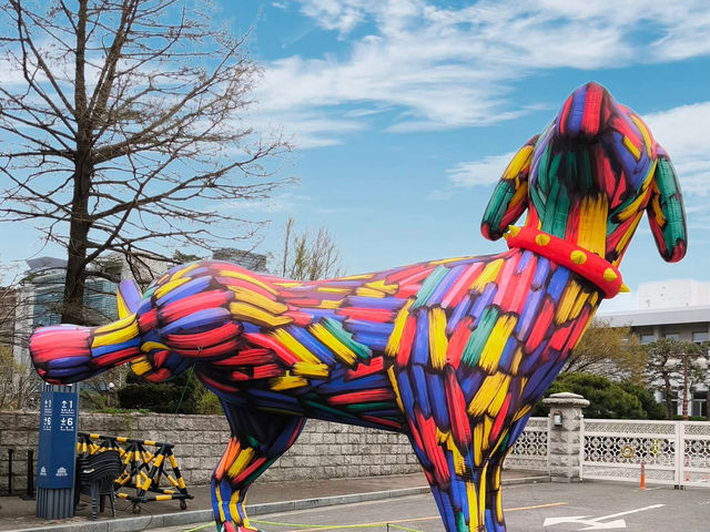 “Spring in Seoul: Yeouido’s Cherry Blossom Symphony”