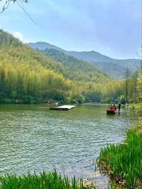 Nanshan Bamboo Sea: A Scenic Wonderland of Adventure and Wildlife