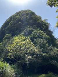 新店第一高峰-獅仔頭山｜古道遺跡探險路線推薦！