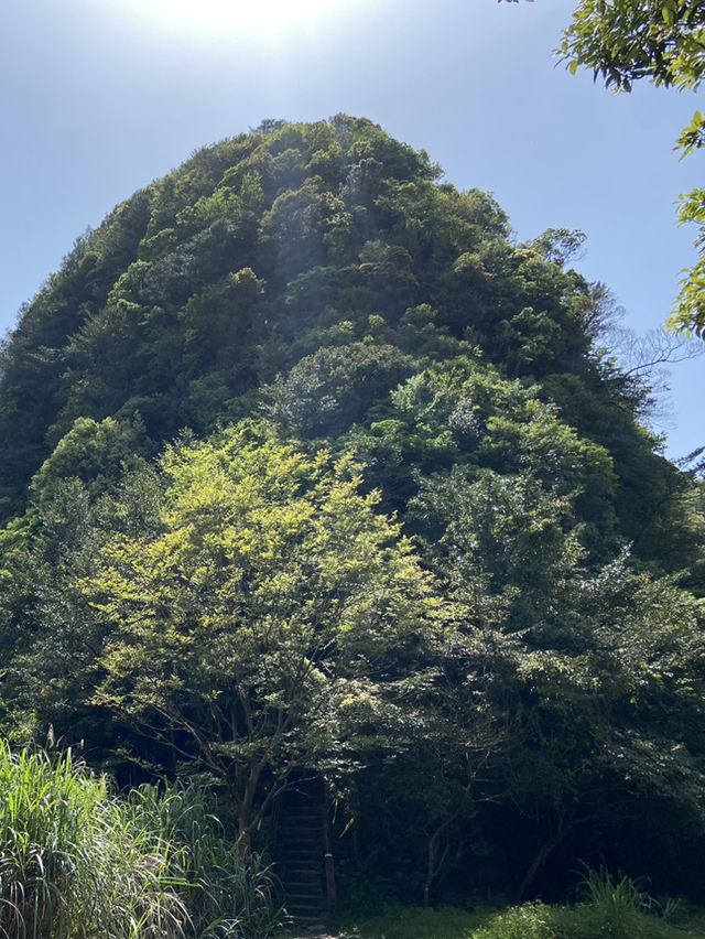 新店第一高峰-獅仔頭山｜古道遺跡探險路線推薦！