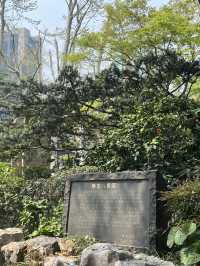 Shanghai | The hidden garden in the centre of city 