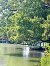 Dongshan Lake Park – A Tranquil Urban Oasis in Guangzhou