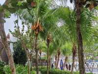 “DoubleTree Resort by Hilton Penang — Seaside Comfort with a Signature Warm Welcome”