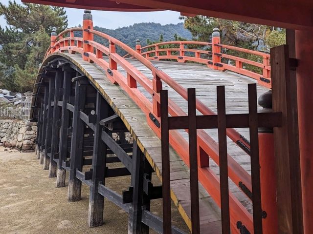 【広島】嚴島神社で海に浮かぶ鳥居を見る！